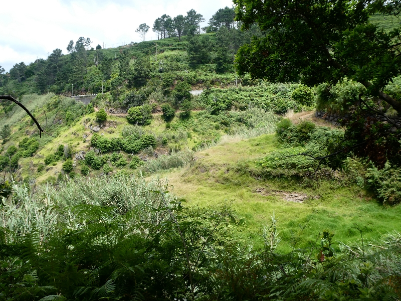 12.07.2018 Von Jardim do Mar nach Prazeres, Querung nach Raposeira und Sao Lourenco, Abstieg nach Paul do Mar — Schöner Höhenweg bis zur ER 223 — Foto 21