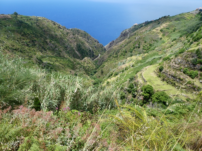 12.07.2018 Von Jardim do Mar nach Prazeres, Querung nach Raposeira und Sao Lourenco, Abstieg nach Paul do Mar — Schöner Höhenweg bis zur ER 223 — Foto 23