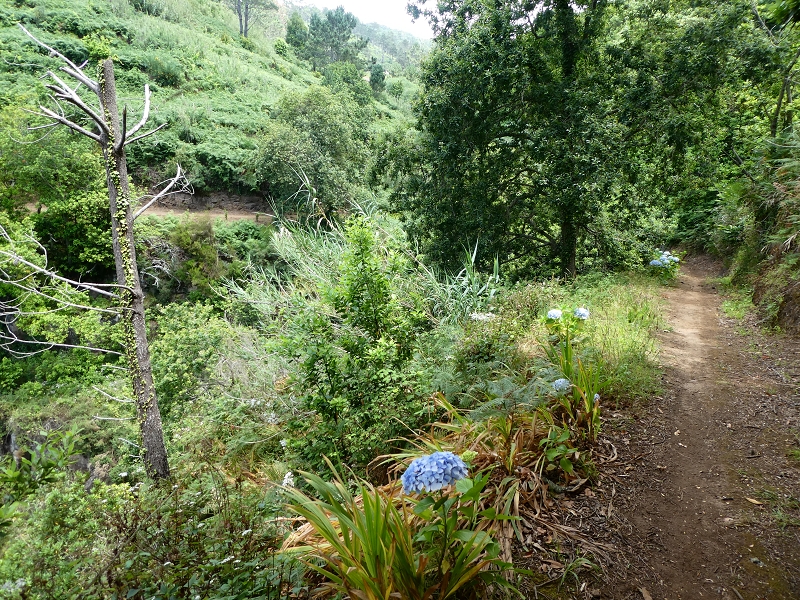 12.07.2018 Von Jardim do Mar nach Prazeres, Querung nach Raposeira und Sao Lourenco, Abstieg nach Paul do Mar — Schöner Höhenweg bis zur ER 223 — Foto 24