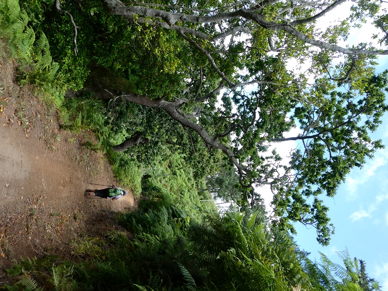 12.07.2018 Von Jardim do Mar nach Prazeres, Querung nach Raposeira und Sao Lourenco, Abstieg nach Paul do Mar — Schöner Höhenweg bis zur ER 223 — Foto 26