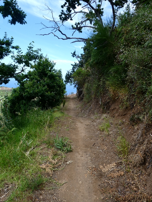 12.07.2018 Von Jardim do Mar nach Prazeres, Querung nach Raposeira und Sao Lourenco, Abstieg nach Paul do Mar — Schöner Höhenweg bis zur ER 223 — Foto 31