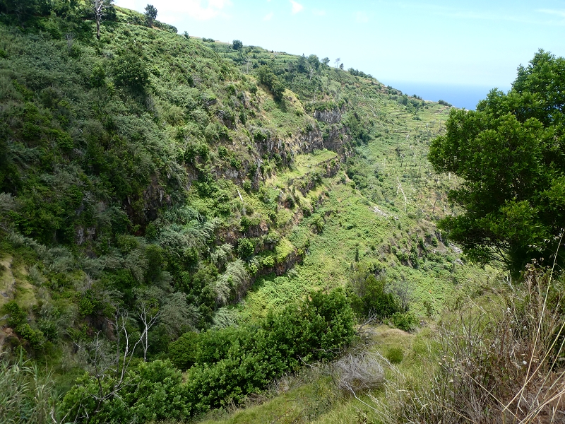 12.07.2018 Von Jardim do Mar nach Prazeres, Querung nach Raposeira und Sao Lourenco, Abstieg nach Paul do Mar — Schöner Höhenweg bis zur ER 223 — Foto 33