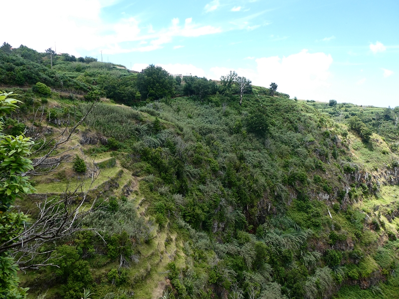 12.07.2018 Von Jardim do Mar nach Prazeres, Querung nach Raposeira und Sao Lourenco, Abstieg nach Paul do Mar — Schöner Höhenweg bis zur ER 223 — Foto 34