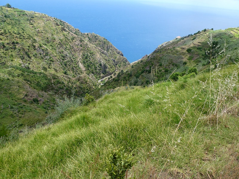 12.07.2018 Von Jardim do Mar nach Prazeres, Querung nach Raposeira und Sao Lourenco, Abstieg nach Paul do Mar — Schöner Höhenweg bis zur ER 223 — Foto 35