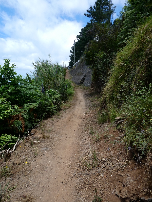 12.07.2018 Von Jardim do Mar nach Prazeres, Querung nach Raposeira und Sao Lourenco, Abstieg nach Paul do Mar — Schöner Höhenweg bis zur ER 223 — Foto 36