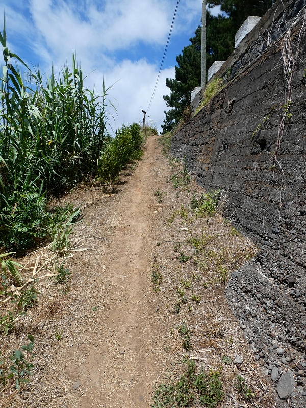 12.07.2018 Von Jardim do Mar nach Prazeres, Querung nach Raposeira und Sao Lourenco, Abstieg nach Paul do Mar — Schöner Höhenweg bis zur ER 223 — Foto 37