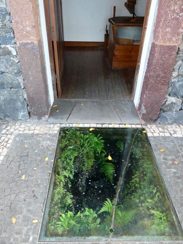 Levada do Jardim do Mar — Moinho das Roseiras — Foto 7