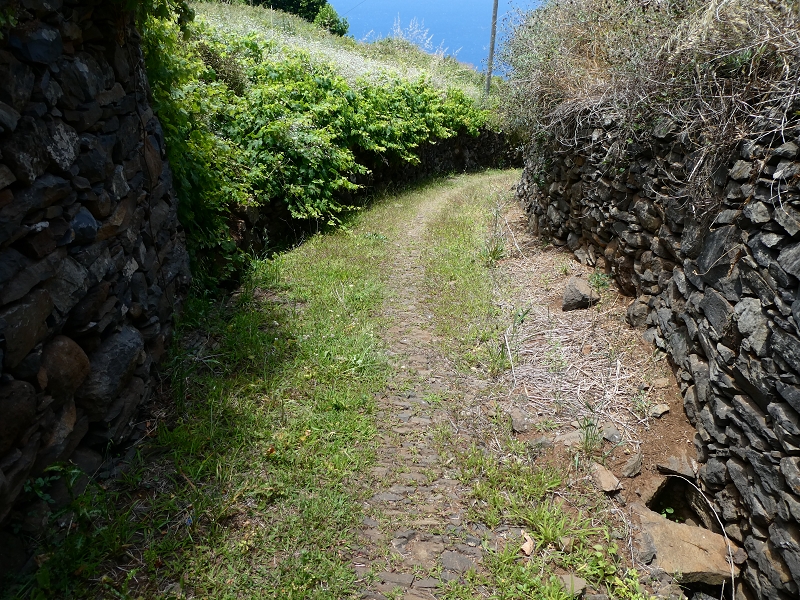 Levada do Paul do Mar — Caminho de Sao Lourenco ab der ER 223 — Foto 4