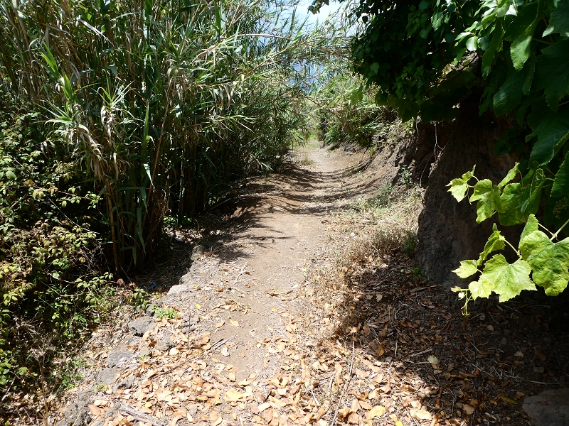 Levada do Paul do Mar — Caminho de Sao Lourenco ab der ER 223 — Foto 5