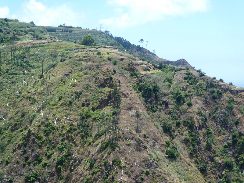 12.07.2018 Von Jardim do Mar nach Prazeres, Querung nach Raposeira und Sao Lourenco, Abstieg nach Paul do Mar — Abstieg auf dem Caminho de Sao Lourenco zur ER 223 und weiter zur Vereda dos Zimbreiros — Foto 9