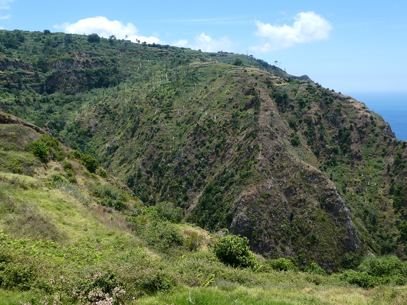 12.07.2018 Von Jardim do Mar nach Prazeres, Querung nach Raposeira und Sao Lourenco, Abstieg nach Paul do Mar — Abstieg auf dem Caminho de Sao Lourenco zur ER 223 und weiter zur Vereda dos Zimbreiros — Foto 10