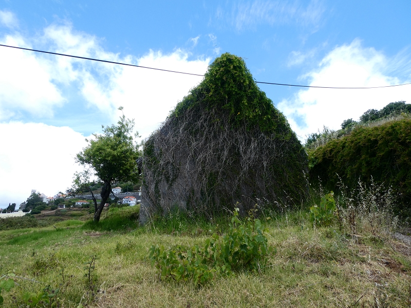 12.07.2018 Von Jardim do Mar nach Prazeres, Querung nach Raposeira und Sao Lourenco, Abstieg nach Paul do Mar — Abstieg auf dem Caminho de Sao Lourenco zur ER 223 und weiter zur Vereda dos Zimbreiros — Foto 12