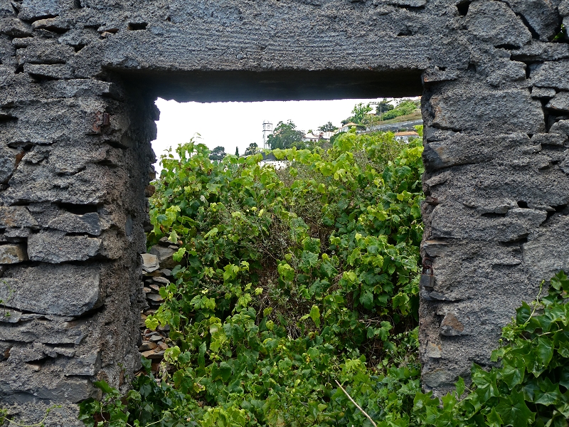 12.07.2018 Von Jardim do Mar nach Prazeres, Querung nach Raposeira und Sao Lourenco, Abstieg nach Paul do Mar — Abstieg auf dem Caminho de Sao Lourenco zur ER 223 und weiter zur Vereda dos Zimbreiros — Foto 15