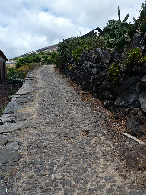 12.07.2018 Von Jardim do Mar nach Prazeres, Querung nach Raposeira und Sao Lourenco, Abstieg nach Paul do Mar — Abstieg auf dem Caminho de Sao Lourenco zur ER 223 und weiter zur Vereda dos Zimbreiros — Foto 18