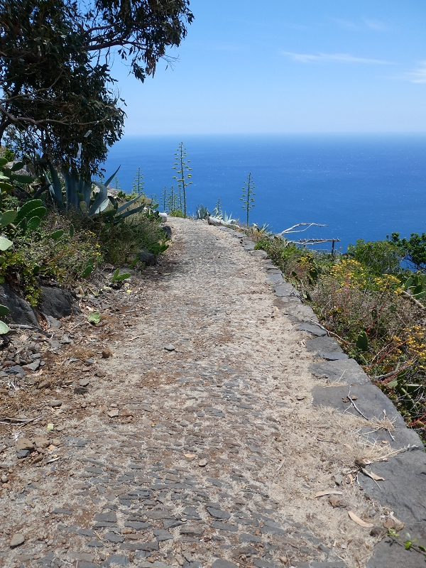 12.07.2018 Von Jardim do Mar nach Prazeres, Querung nach Raposeira und Sao Lourenco, Abstieg nach Paul do Mar — Abstieg auf dem Caminho de Sao Lourenco zur ER 223 und weiter zur Vereda dos Zimbreiros — Foto 19