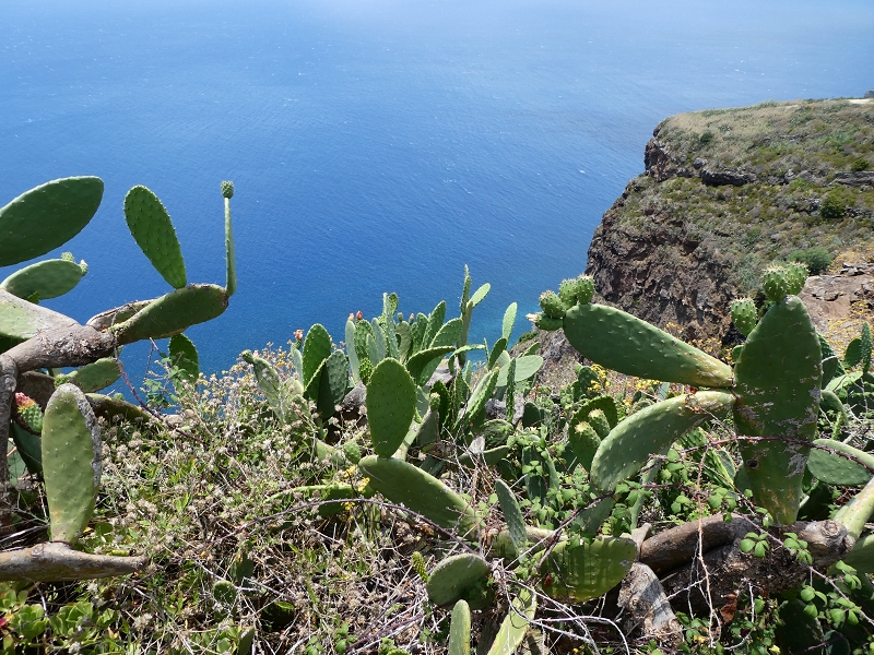 12.07.2018 Von Jardim do Mar nach Prazeres, Querung nach Raposeira und Sao Lourenco, Abstieg nach Paul do Mar — Miradouro do Fio — Foto 8