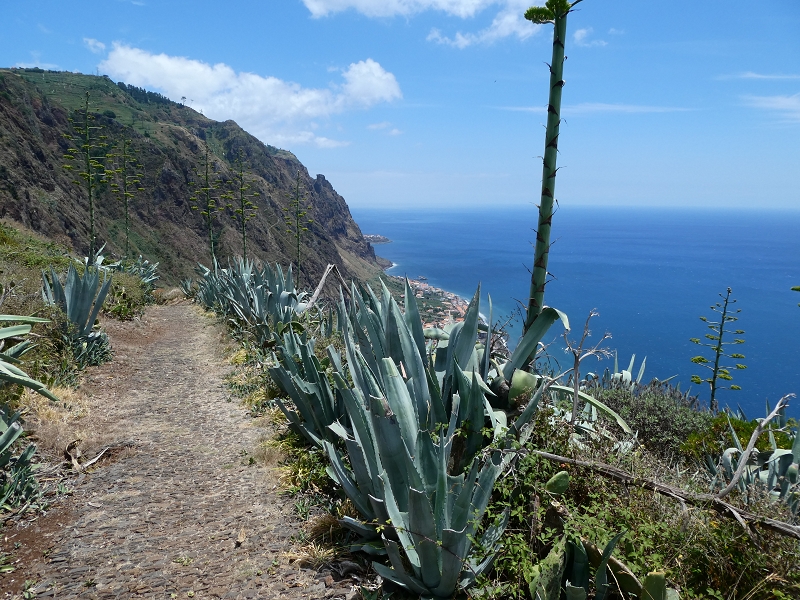 12.07.2018 Von Jardim do Mar nach Prazeres, Querung nach Raposeira und Sao Lourenco, Abstieg nach Paul do Mar — Abstieg auf der Vereda dos Zimbreiros, Blick auf die kleine Levada do Paul do Mar — Foto 1