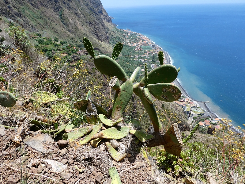 12.07.2018 Von Jardim do Mar nach Prazeres, Querung nach Raposeira und Sao Lourenco, Abstieg nach Paul do Mar — Abstieg auf der Vereda dos Zimbreiros, Blick auf die kleine Levada do Paul do Mar — Foto 7
