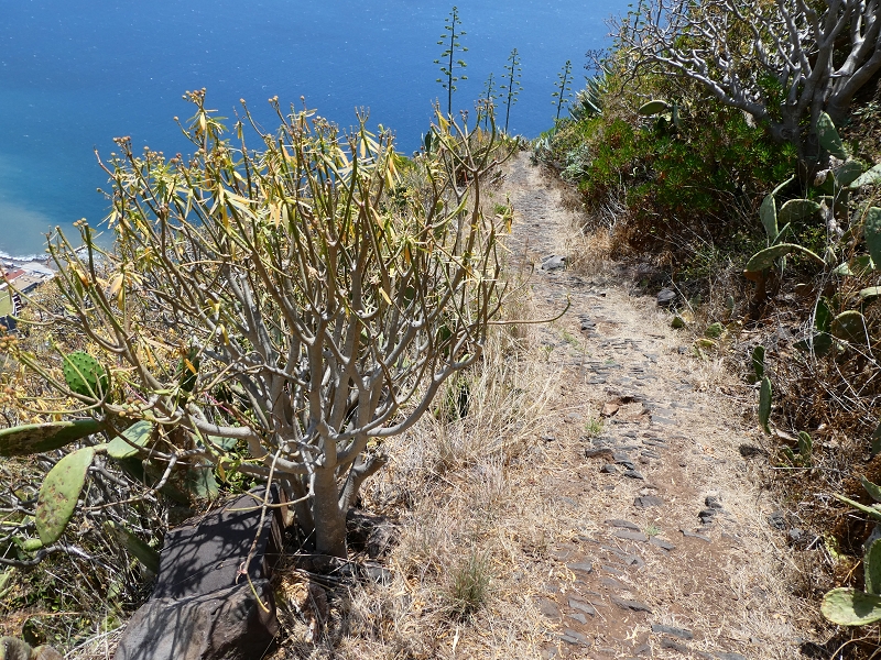 12.07.2018 Von Jardim do Mar nach Prazeres, Querung nach Raposeira und Sao Lourenco, Abstieg nach Paul do Mar — Abstieg auf der Vereda dos Zimbreiros, Blick auf die kleine Levada do Paul do Mar — Foto 14