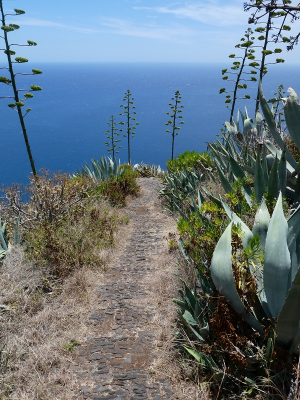 12.07.2018 Von Jardim do Mar nach Prazeres, Querung nach Raposeira und Sao Lourenco, Abstieg nach Paul do Mar — Abstieg auf der Vereda dos Zimbreiros, Blick auf die kleine Levada do Paul do Mar — Foto 16