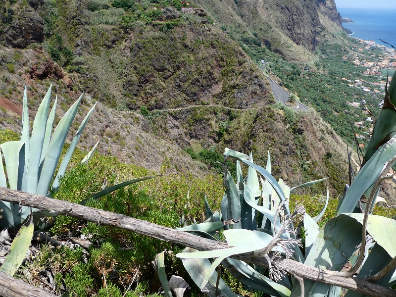 12.07.2018 Von Jardim do Mar nach Prazeres, Querung nach Raposeira und Sao Lourenco, Abstieg nach Paul do Mar — Abstieg auf der Vereda dos Zimbreiros, Blick auf die kleine Levada do Paul do Mar — Foto 18