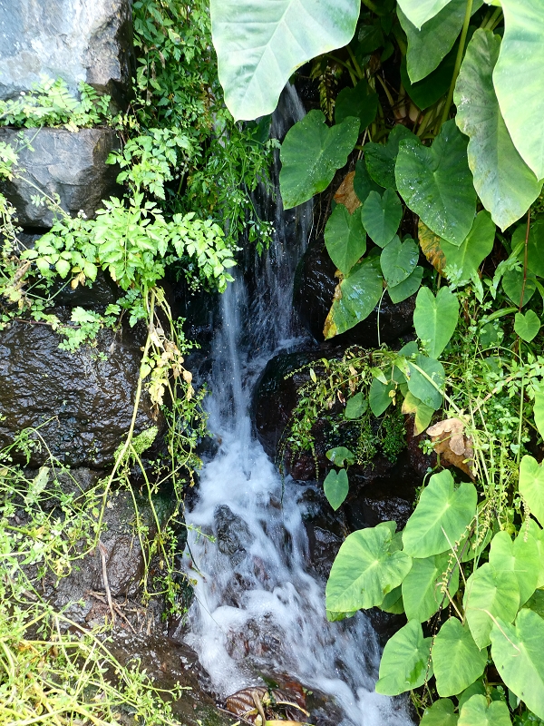 Levada do Jardim do Mar — Vom Knick des Weges zur Mühle — Foto 2