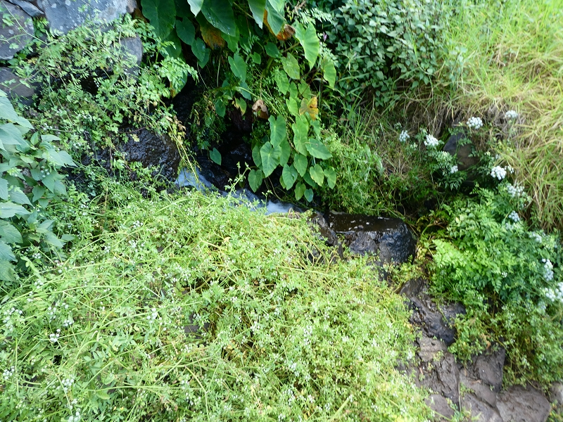 Levada do Jardim do Mar — Vom Knick des Weges zur Mühle — Foto 1
