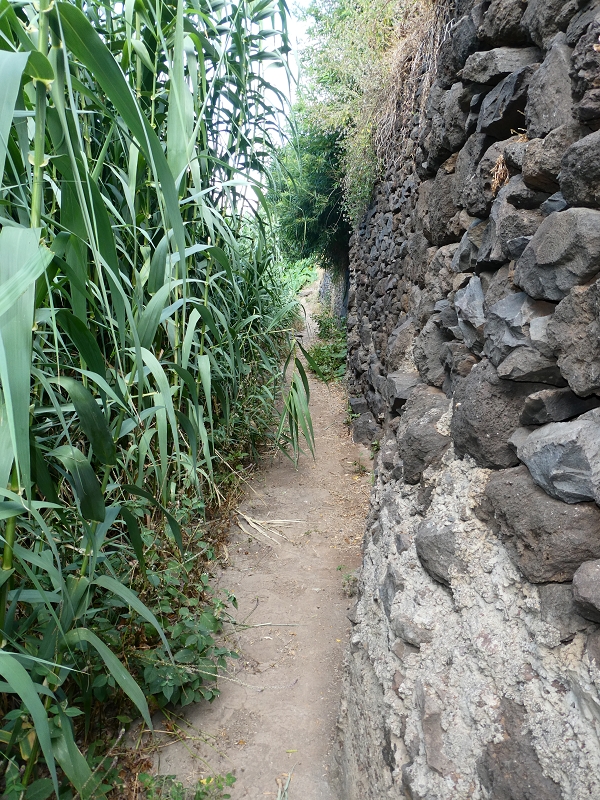 12.07.2018 Von Jardim do Mar nach Prazeres, Querung nach Raposeira und Sao Lourenco, Abstieg nach Paul do Mar — Aufstieg auf dem PR 20 — Foto 8