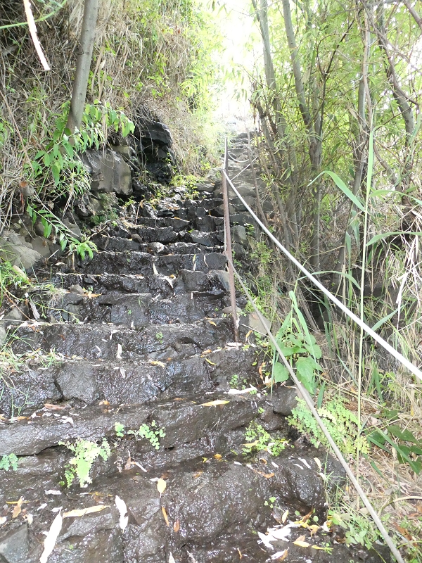 12.07.2018 Von Jardim do Mar nach Prazeres, Querung nach Raposeira und Sao Lourenco, Abstieg nach Paul do Mar — Aufstieg auf dem PR 20 — Foto 12