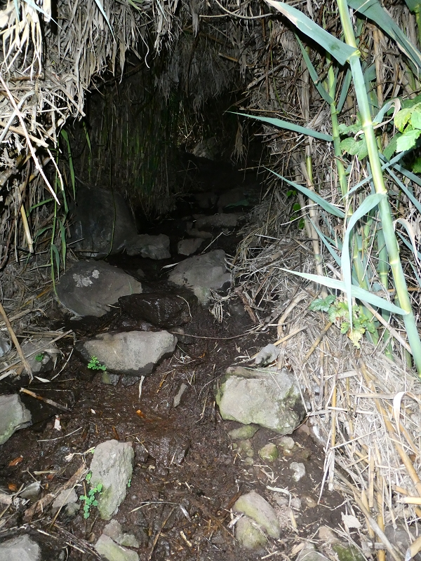 12.07.2018 Von Jardim do Mar nach Prazeres, Querung nach Raposeira und Sao Lourenco, Abstieg nach Paul do Mar — Aufstieg auf dem PR 20 — Foto 14