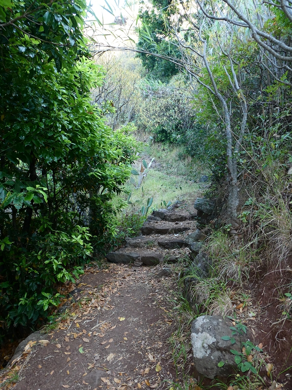 12.07.2018 Von Jardim do Mar nach Prazeres, Querung nach Raposeira und Sao Lourenco, Abstieg nach Paul do Mar — Aufstieg auf dem PR 20 — Foto 15