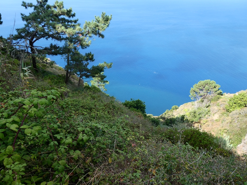 12.07.2018 Von Jardim do Mar nach Prazeres, Querung nach Raposeira und Sao Lourenco, Abstieg nach Paul do Mar — Aufstieg auf dem PR 20 — Foto 18