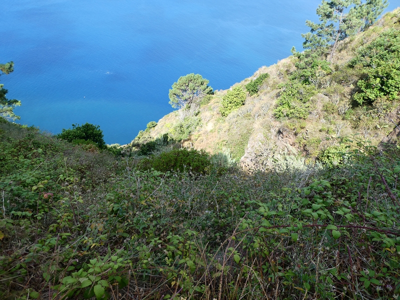 12.07.2018 Von Jardim do Mar nach Prazeres, Querung nach Raposeira und Sao Lourenco, Abstieg nach Paul do Mar — Aufstieg auf dem PR 20 — Foto 19