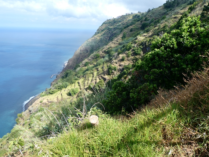 12.07.2018 Von Jardim do Mar nach Prazeres, Querung nach Raposeira und Sao Lourenco, Abstieg nach Paul do Mar — Aufstieg auf dem PR 20 — Foto 21