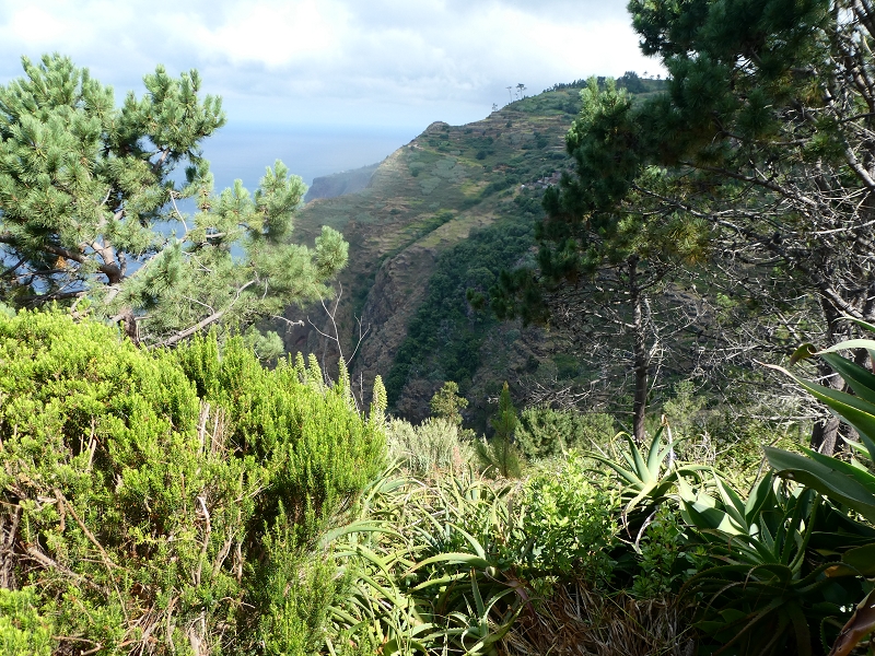 12.07.2018 Von Jardim do Mar nach Prazeres, Querung nach Raposeira und Sao Lourenco, Abstieg nach Paul do Mar — Abstieg auf dem PR 19 bis zur Querung nach Maloeira — Foto 2