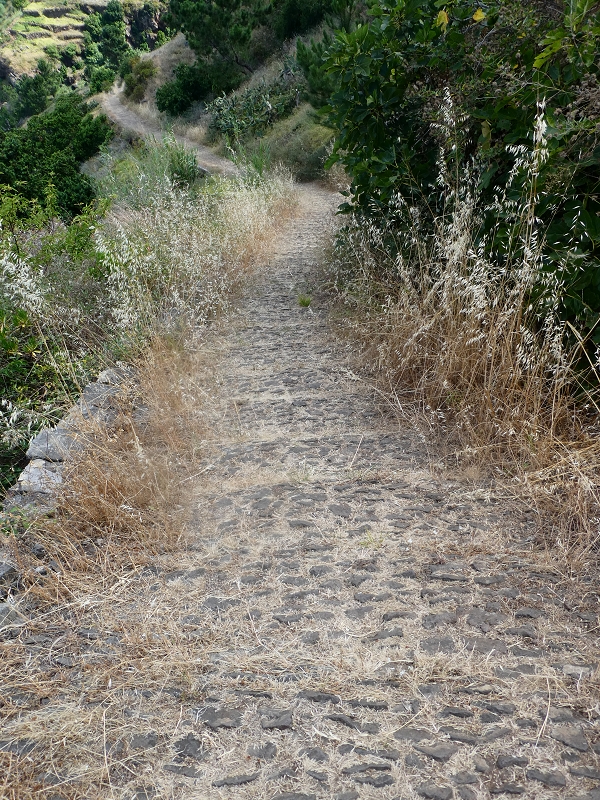 12.07.2018 Von Jardim do Mar nach Prazeres, Querung nach Raposeira und Sao Lourenco, Abstieg nach Paul do Mar — Abstieg auf dem PR 19 bis zur Querung nach Maloeira — Foto 5