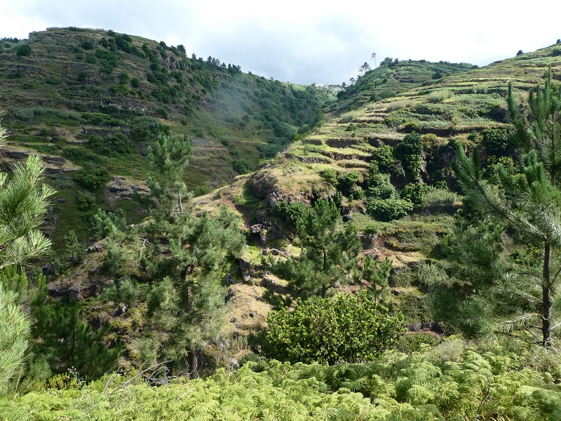 12.07.2018 Von Jardim do Mar nach Prazeres, Querung nach Raposeira und Sao Lourenco, Abstieg nach Paul do Mar — Abstieg auf dem PR 19 bis zur Querung nach Maloeira — Foto 7