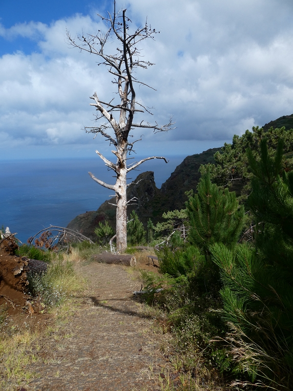 12.07.2018 Von Jardim do Mar nach Prazeres, Querung nach Raposeira und Sao Lourenco, Abstieg nach Paul do Mar — Abstieg auf dem PR 19 bis zur Querung nach Maloeira — Foto 8