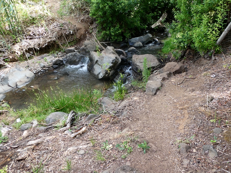 12.07.2018 Von Jardim do Mar nach Prazeres, Querung nach Raposeira und Sao Lourenco, Abstieg nach Paul do Mar — Aufstiegsweg nach Maloeira — Foto 4