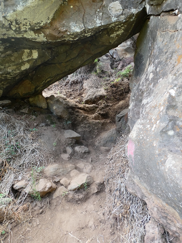 12.07.2018 Von Jardim do Mar nach Prazeres, Querung nach Raposeira und Sao Lourenco, Abstieg nach Paul do Mar — Aufstiegsweg nach Maloeira — Foto 6