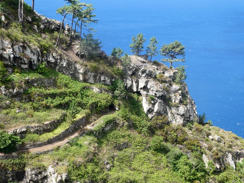 12.07.2018 Von Jardim do Mar nach Prazeres, Querung nach Raposeira und Sao Lourenco, Abstieg nach Paul do Mar — Aufstiegsweg nach Maloeira — Foto 8