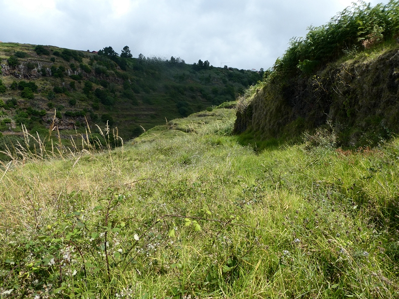12.07.2018 Von Jardim do Mar nach Prazeres, Querung nach Raposeira und Sao Lourenco, Abstieg nach Paul do Mar — Abkürzung nach Westen — Foto 2