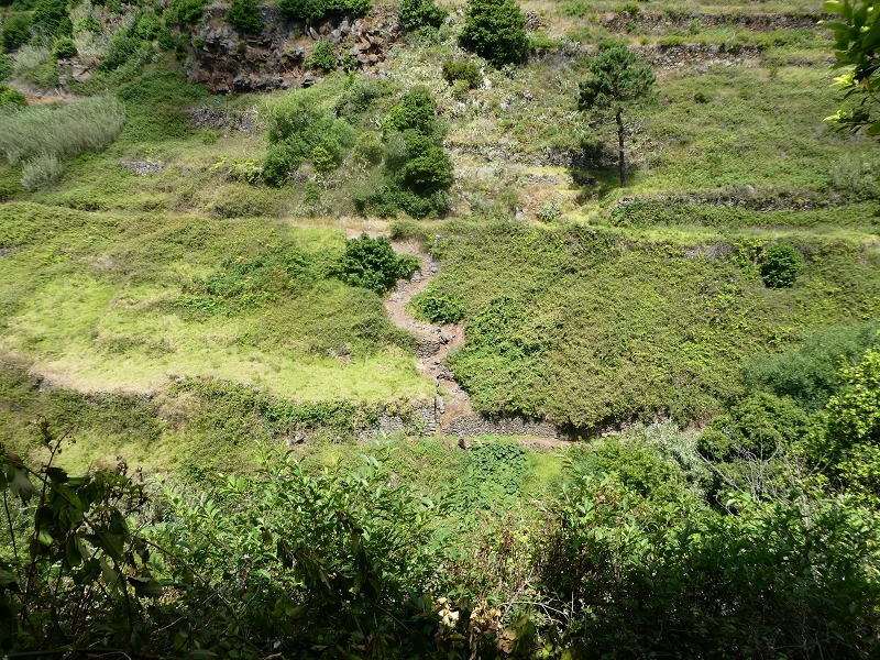 12.07.2018 Von Jardim do Mar nach Prazeres, Querung nach Raposeira und Sao Lourenco, Abstieg nach Paul do Mar — Abstiegsweg von Maloeira und weiter zum Miradouro auf dem Pico das Bodes — Foto 3