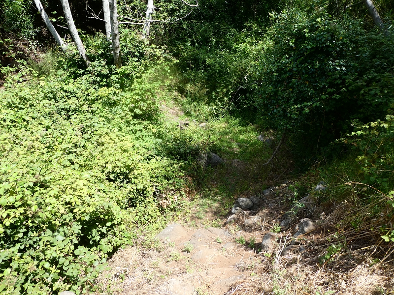 12.07.2018 Von Jardim do Mar nach Prazeres, Querung nach Raposeira und Sao Lourenco, Abstieg nach Paul do Mar — Abstiegsweg von Maloeira und weiter zum Miradouro auf dem Pico das Bodes — Foto 5