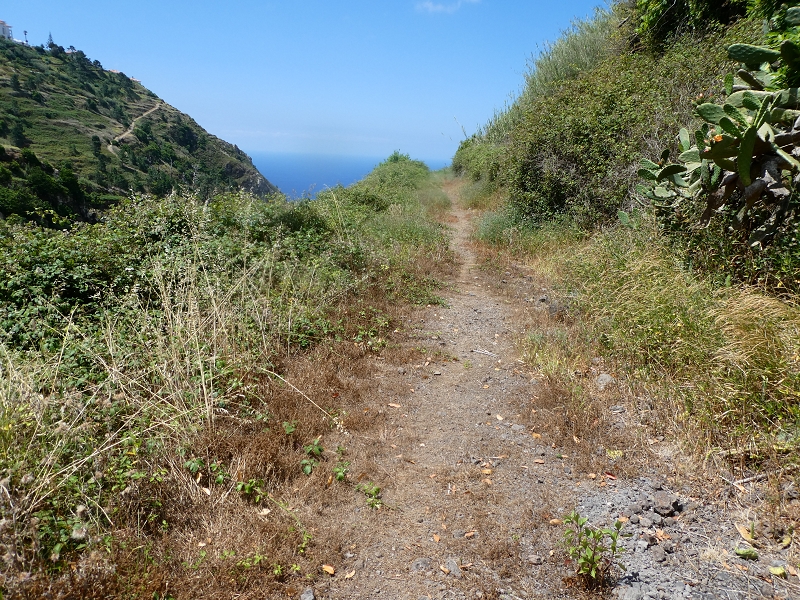 12.07.2018 Von Jardim do Mar nach Prazeres, Querung nach Raposeira und Sao Lourenco, Abstieg nach Paul do Mar — Abstiegsweg von Maloeira und weiter zum Miradouro auf dem Pico das Bodes — Foto 6