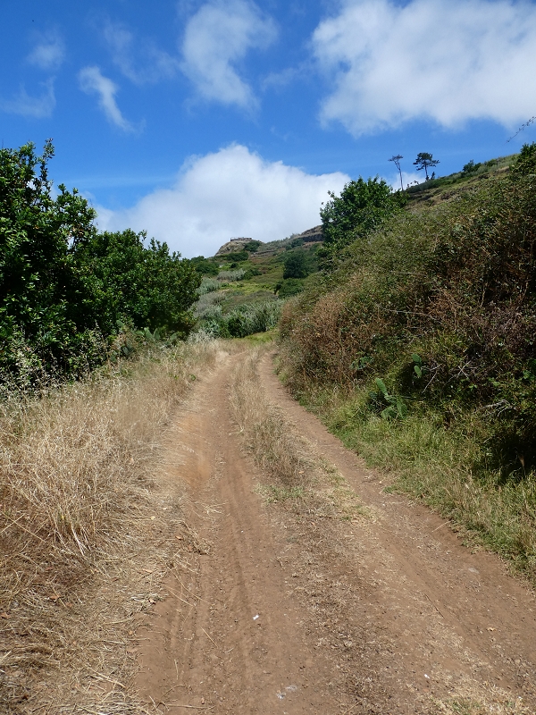 12.07.2018 Von Jardim do Mar nach Prazeres, Querung nach Raposeira und Sao Lourenco, Abstieg nach Paul do Mar — Abstiegsweg von Maloeira und weiter zum Miradouro auf dem Pico das Bodes — Foto 7