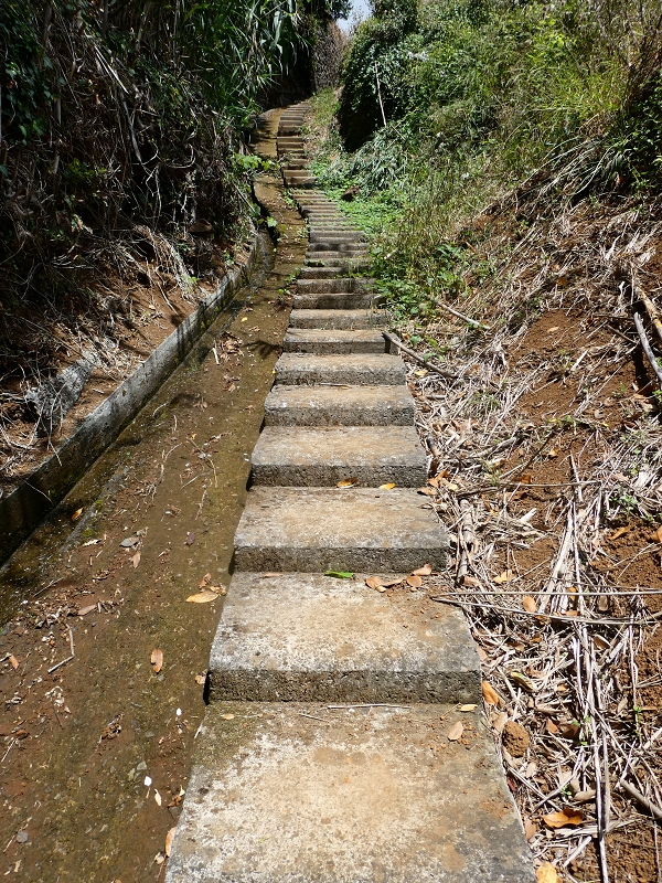 12.07.2018 Von Jardim do Mar nach Prazeres, Querung nach Raposeira und Sao Lourenco, Abstieg nach Paul do Mar — Weiter nach Raposeira do Serrado zur Wegekreuzung — Foto 2