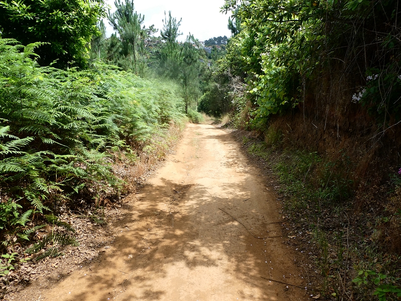 12.07.2018 Von Jardim do Mar nach Prazeres, Querung nach Raposeira und Sao Lourenco, Abstieg nach Paul do Mar — Weiter nach Raposeira do Serrado zur Wegekreuzung — Foto 4