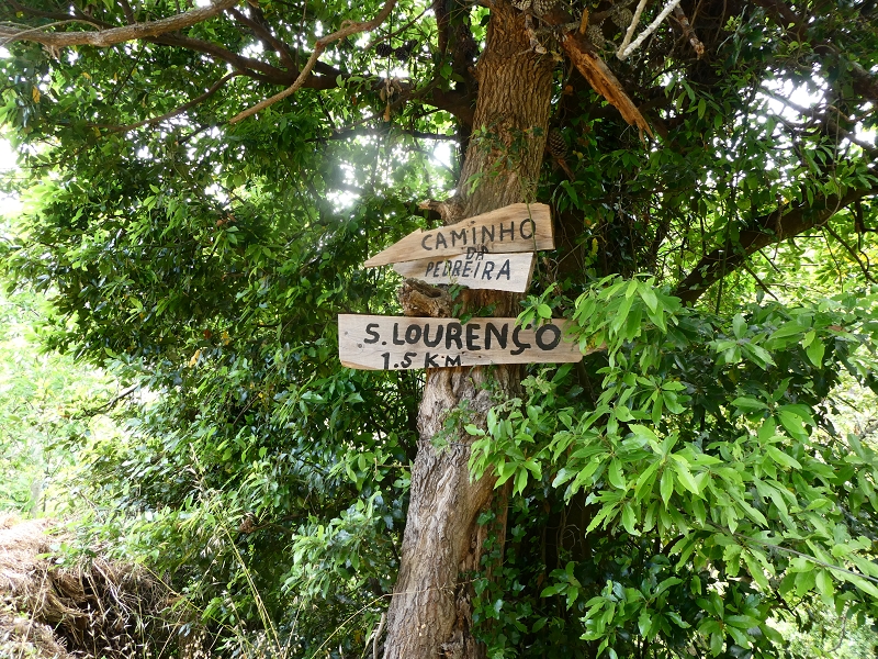 12.07.2018 Von Jardim do Mar nach Prazeres, Querung nach Raposeira und Sao Lourenco, Abstieg nach Paul do Mar — Weiter nach Raposeira do Serrado zur Wegekreuzung — Foto 5