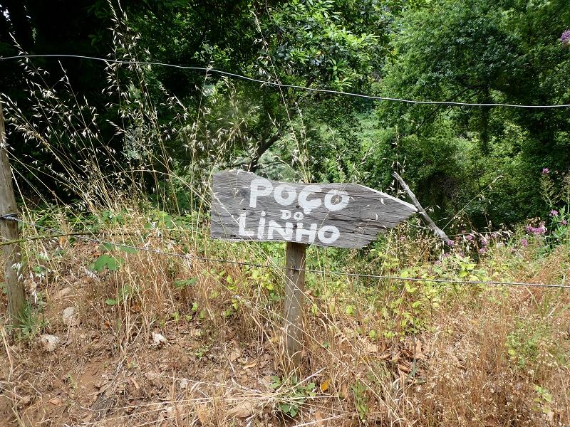 12.07.2018 Von Jardim do Mar nach Prazeres, Querung nach Raposeira und Sao Lourenco, Abstieg nach Paul do Mar — Schöner Höhenweg bis zur ER 223 — Foto 1